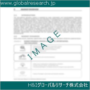 グローバルリサーチ調査資料のイメージ